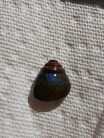 Fire agate loose stone